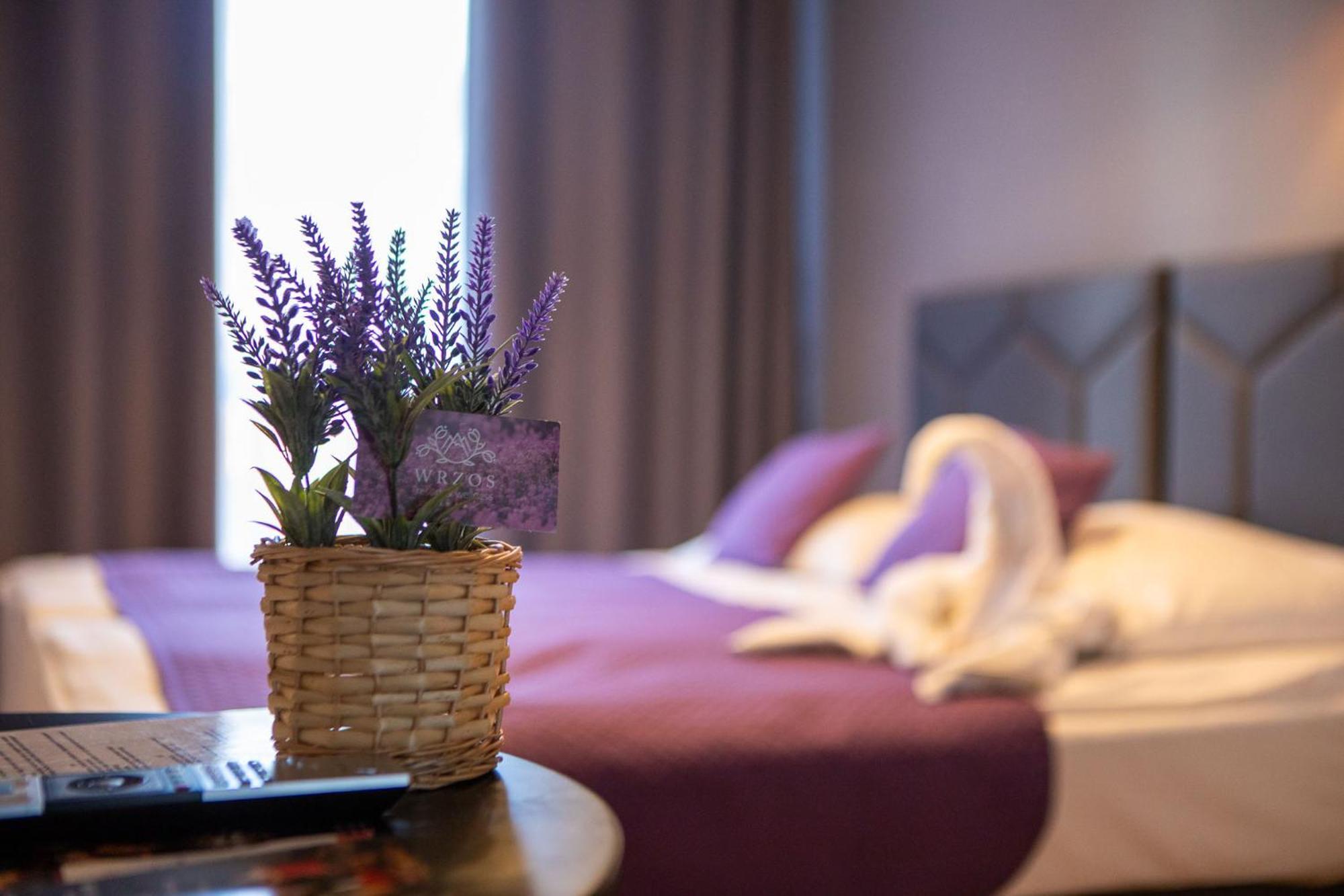 Wrzos Resort & Wellness Wegierska Gorka Dış mekan fotoğraf